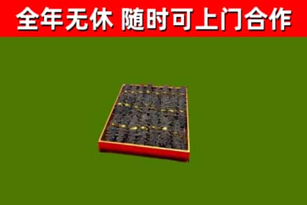 靖远回收海参